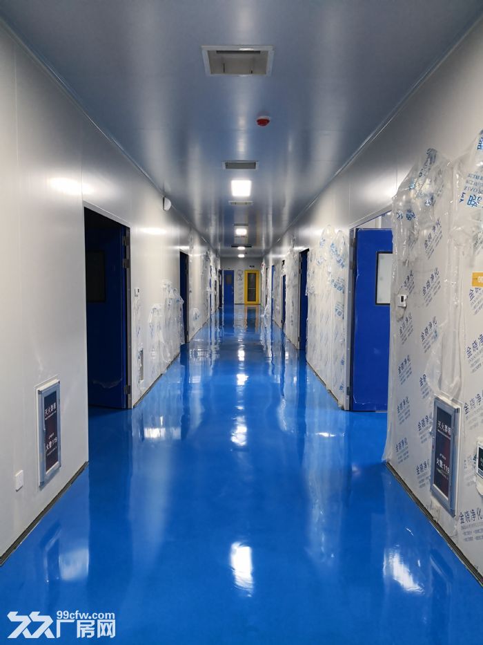 低价出租全新洁净厂房，配套齐全，交通便利