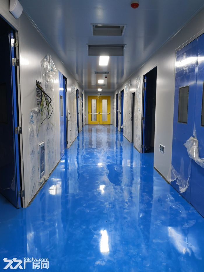 低价出租全新洁净厂房，配套齐全，交通便利-图3