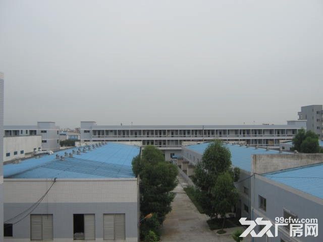 新兴工业区4800平高标准带天车厂房出租-图5