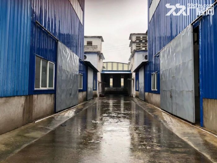 柳东新区新柳大道2700平厂房招租-图3