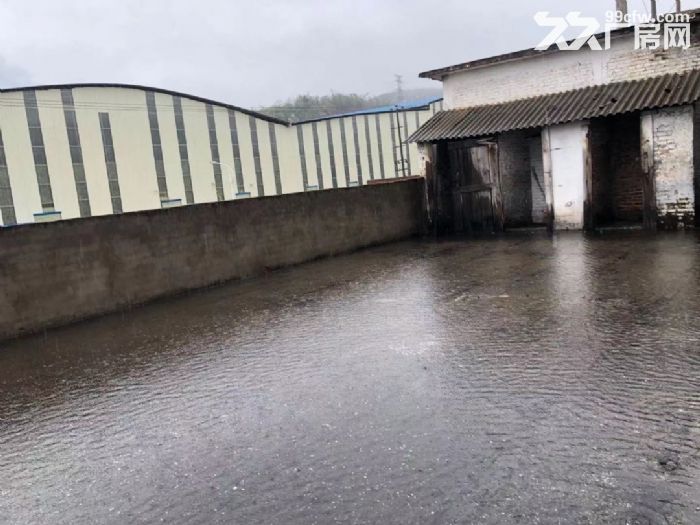 柳东新区新柳大道2700平厂房招租-图5